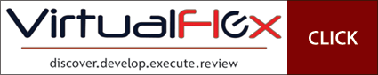 Virtual Flex Solutions Ltd
