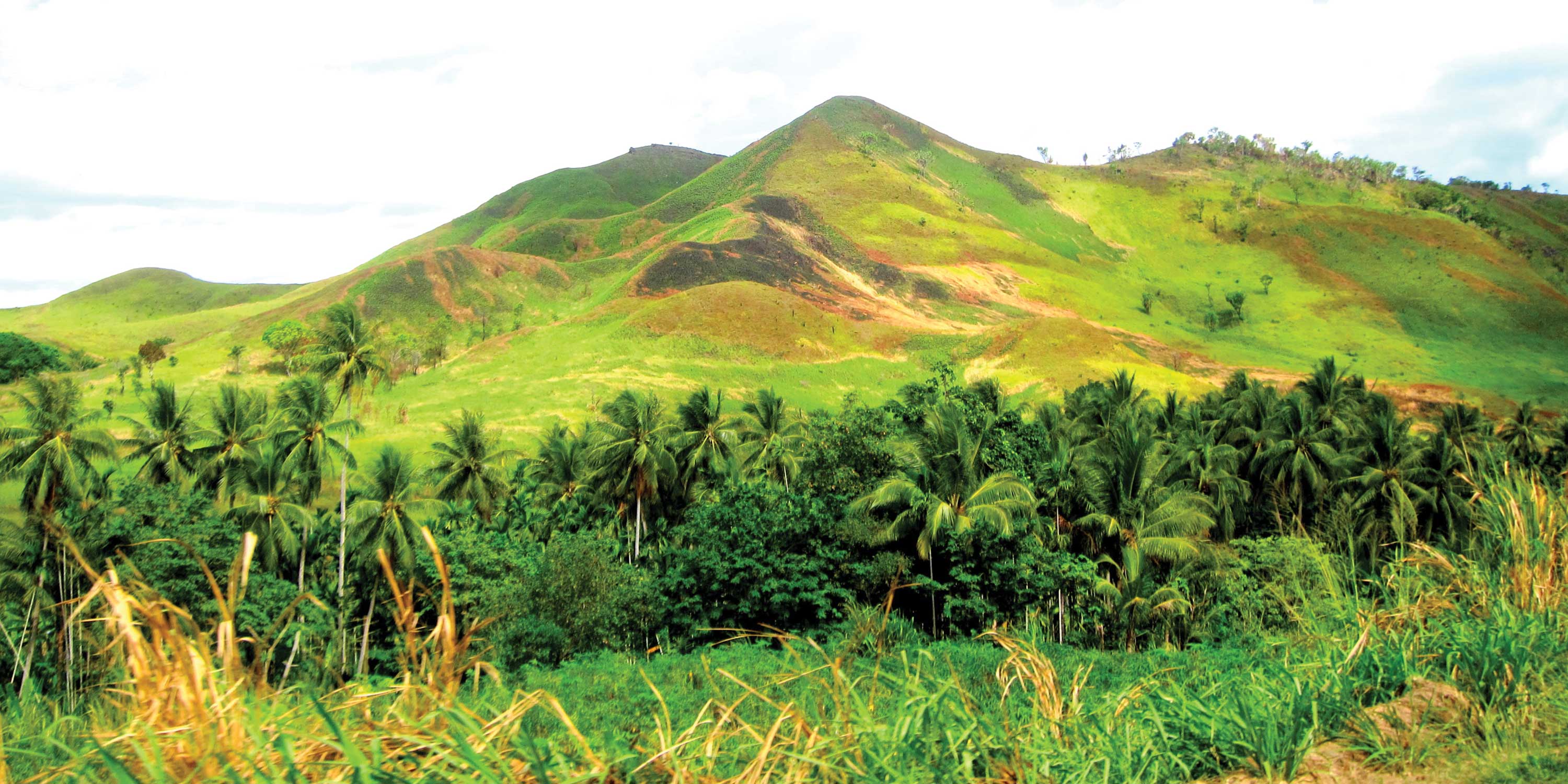 Papua New Guinea